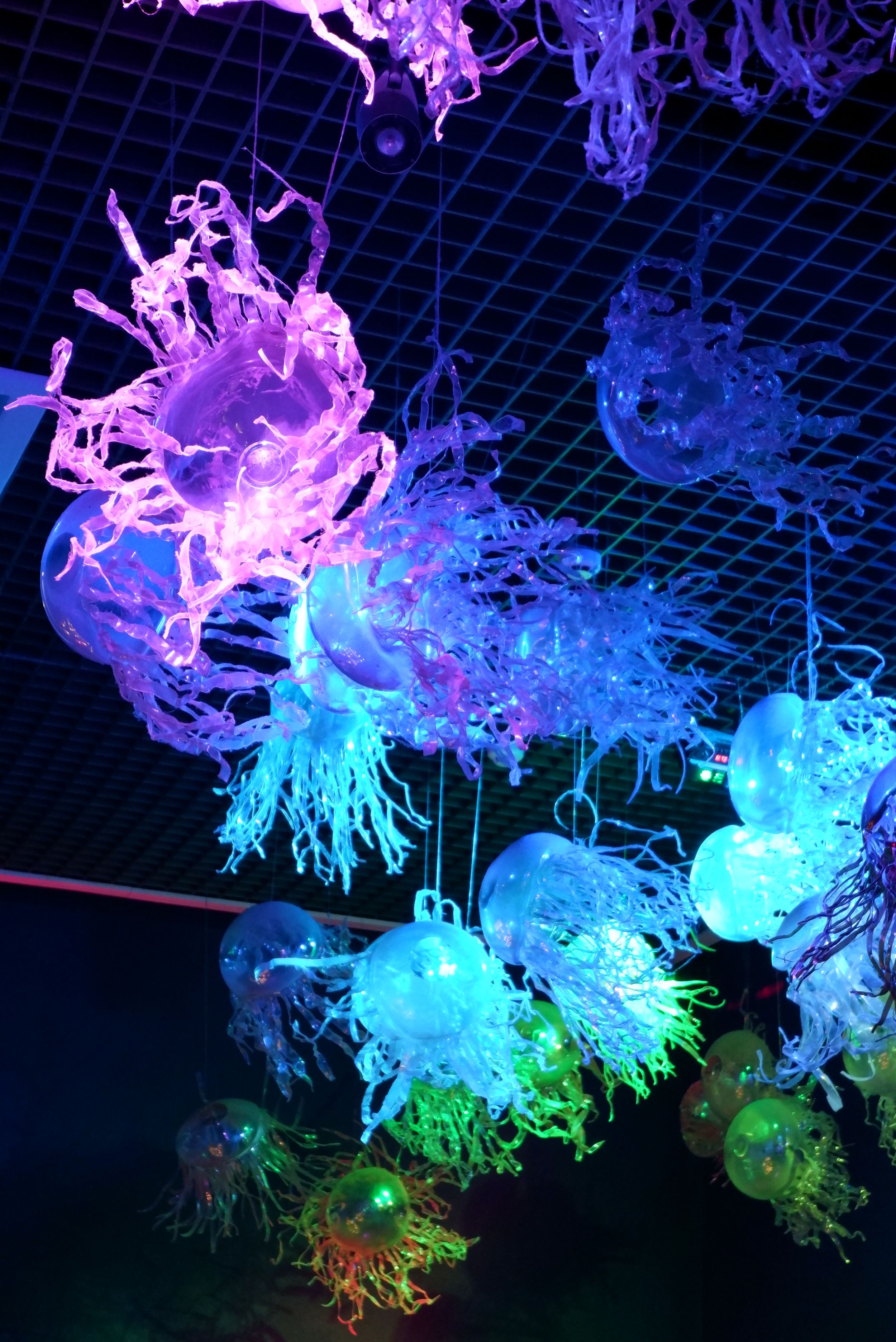 DSCF0142