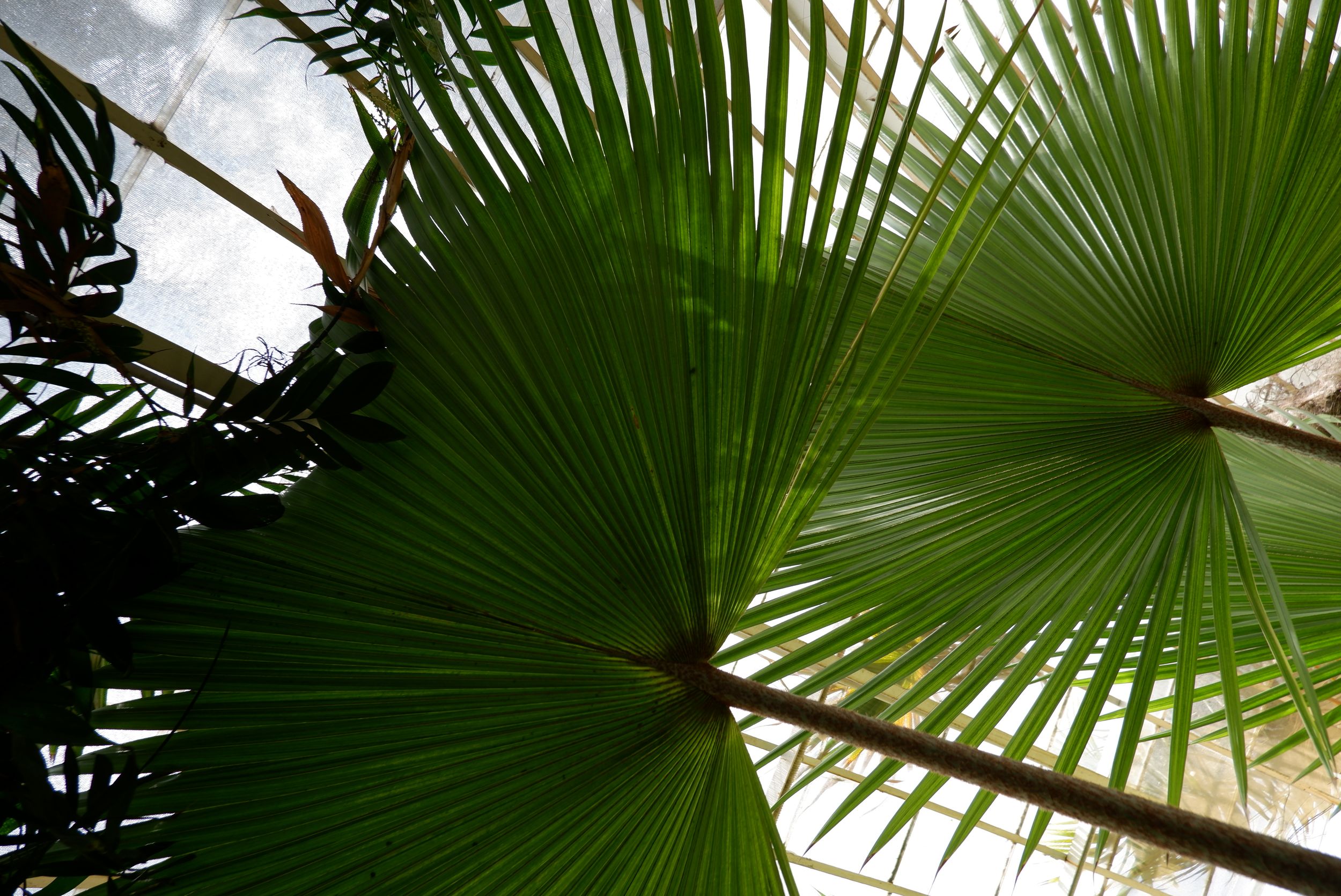 DSCF0319