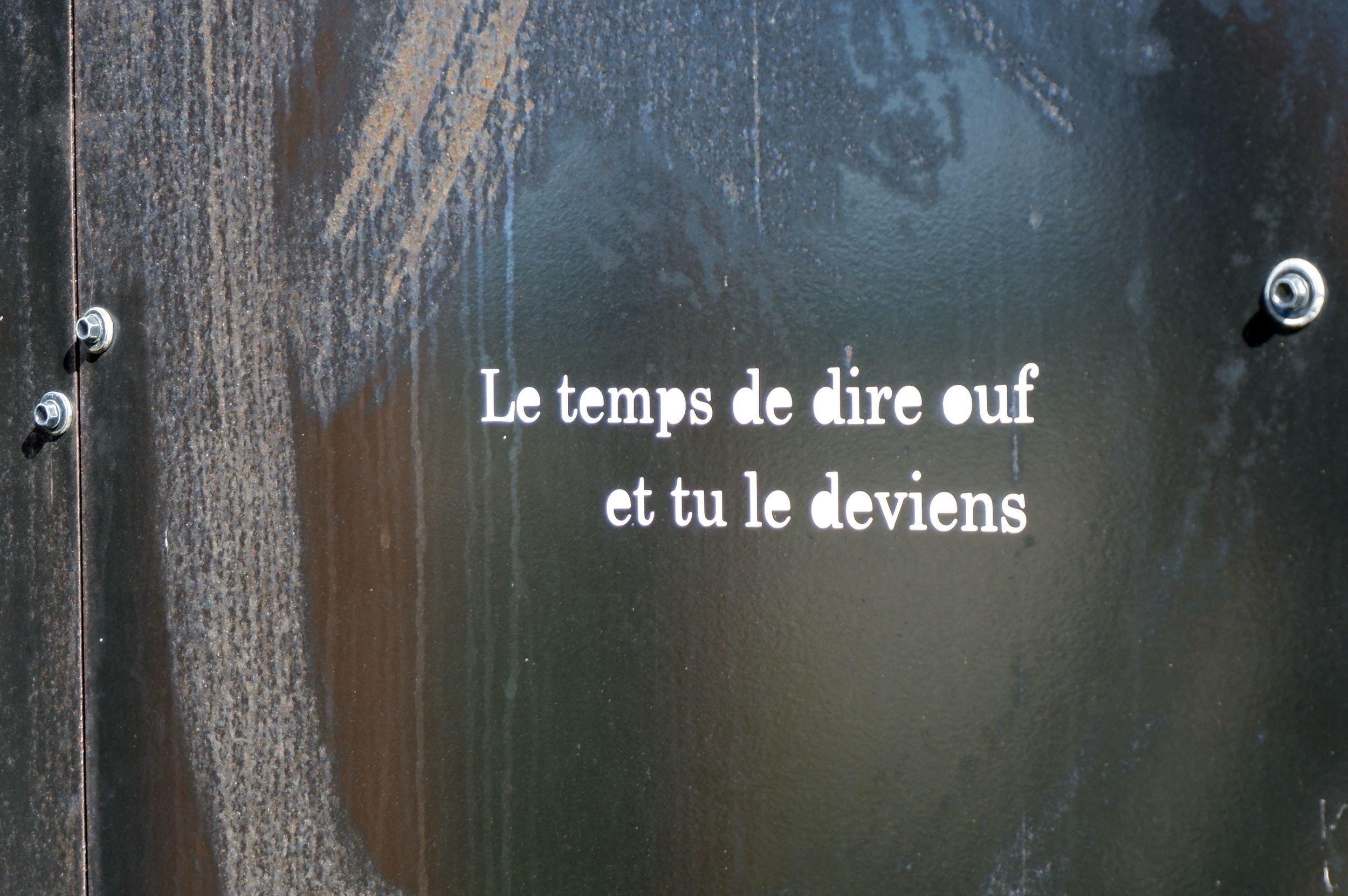 DSCF0805