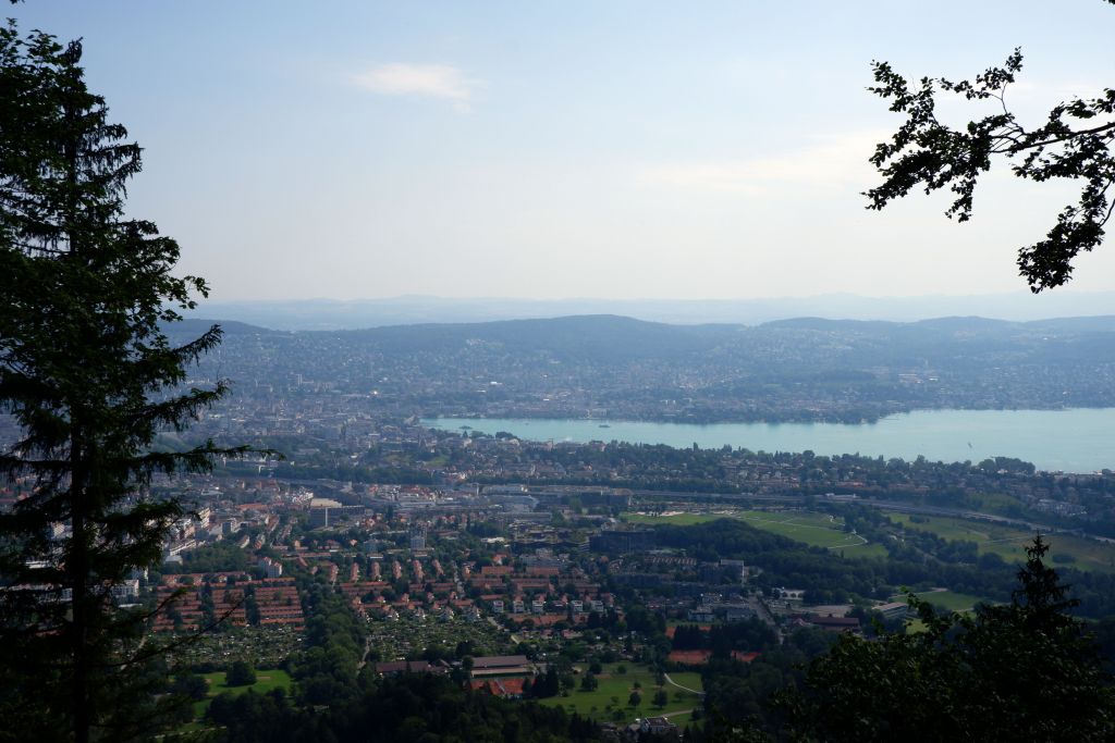 Zurich : Uetliberg, les pieds dans l&rsquo;eau et les guêpes&nbsp;(1/2)