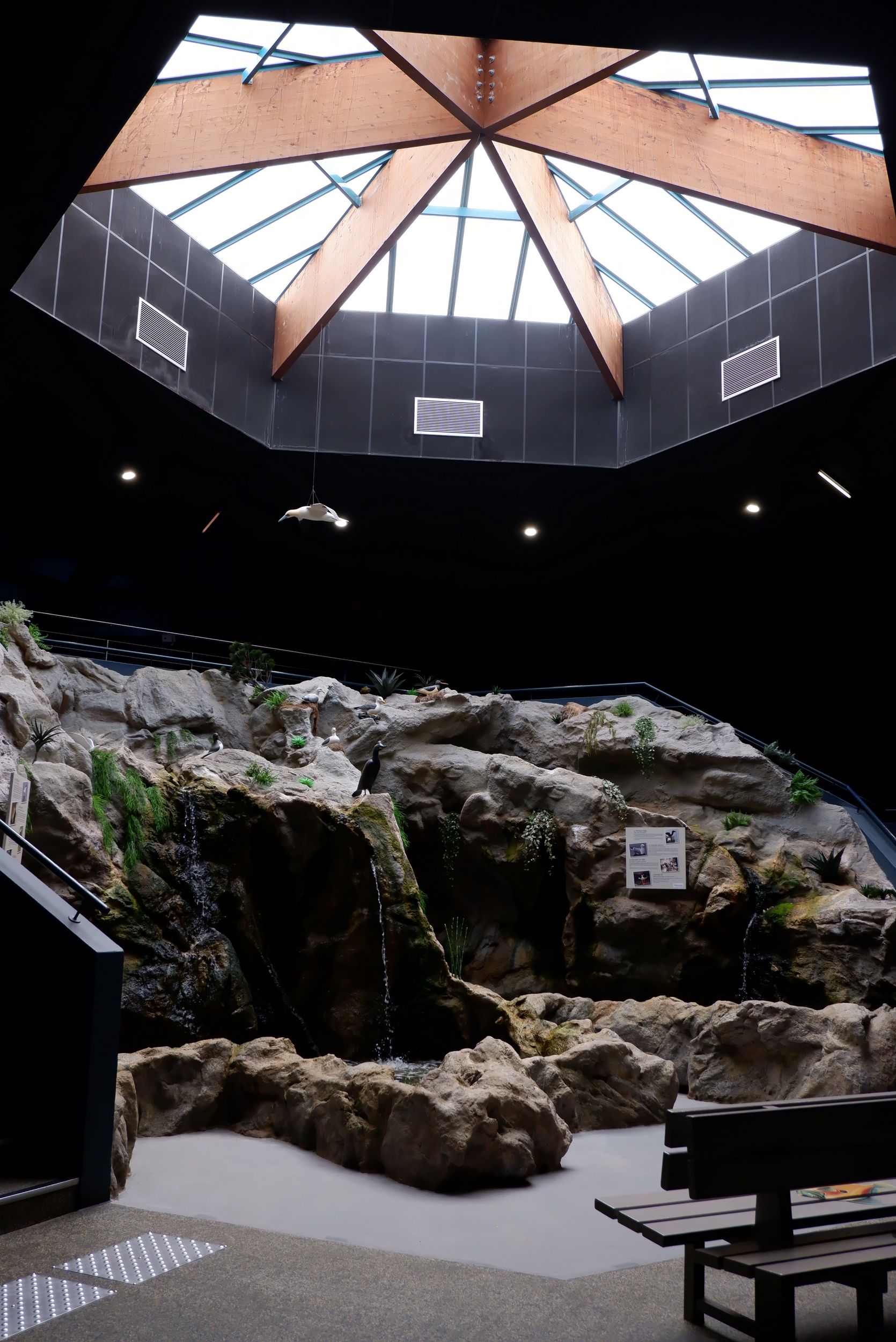 intérieur océarium croisic