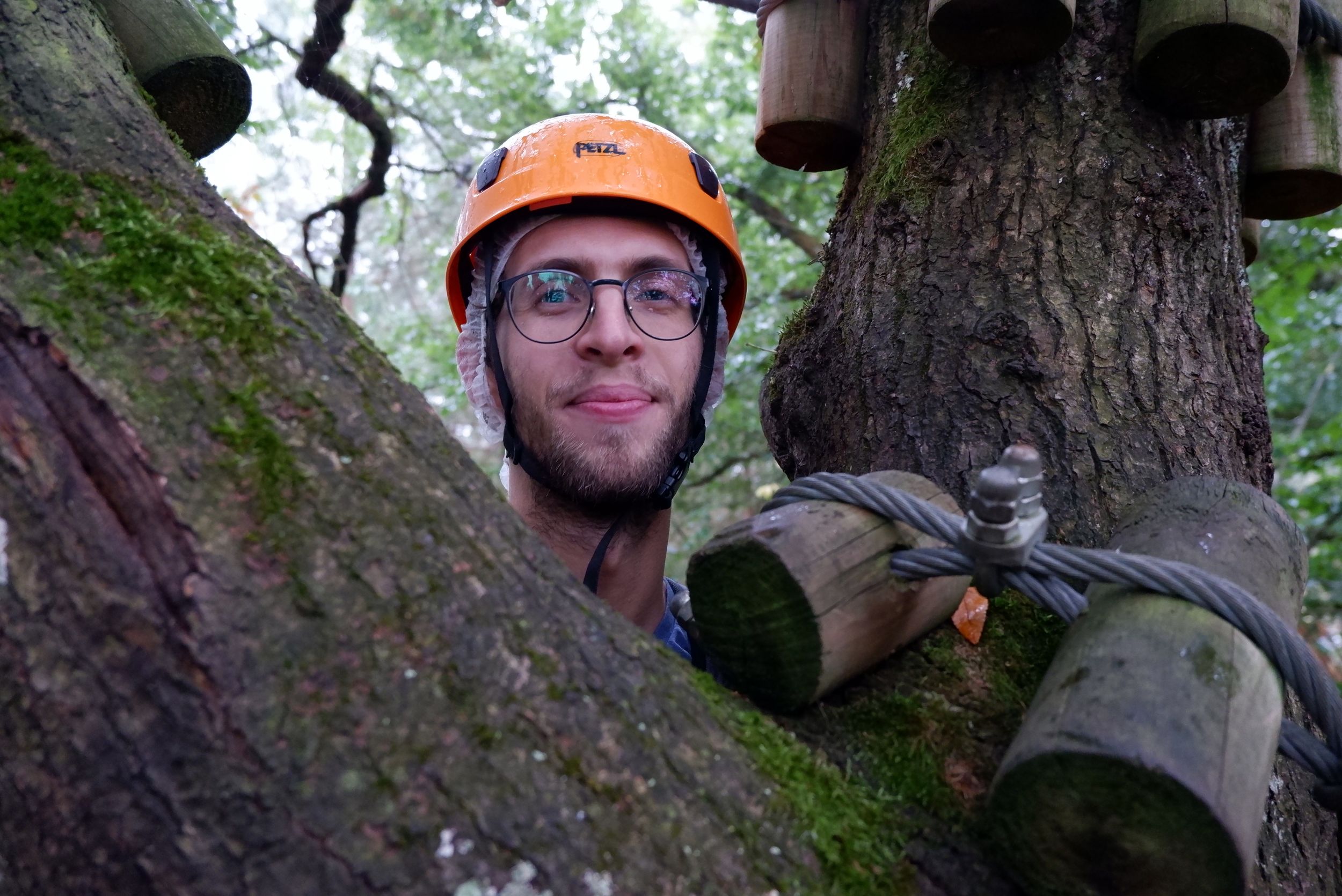 Ryan dans les arbres