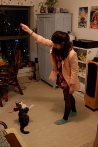 andréa joue avec stormy