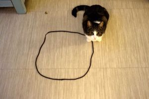 stormy et une ficelle