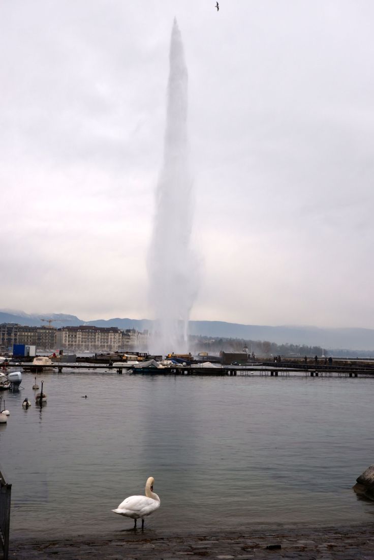 Jet d'eau géant à Genève