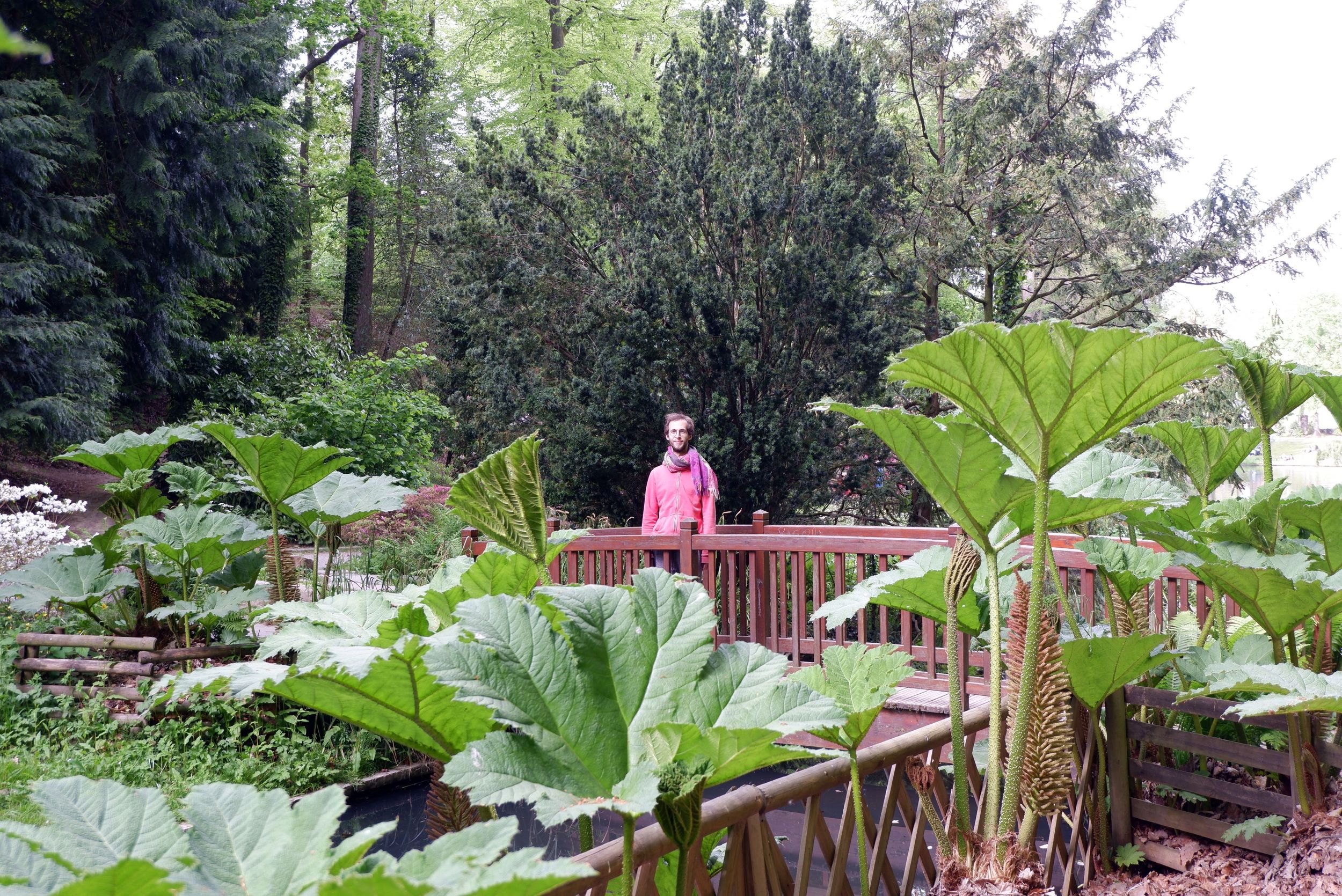 Ryan sur un pont rouge au-dessus d'une rivière et entouré de plantes.