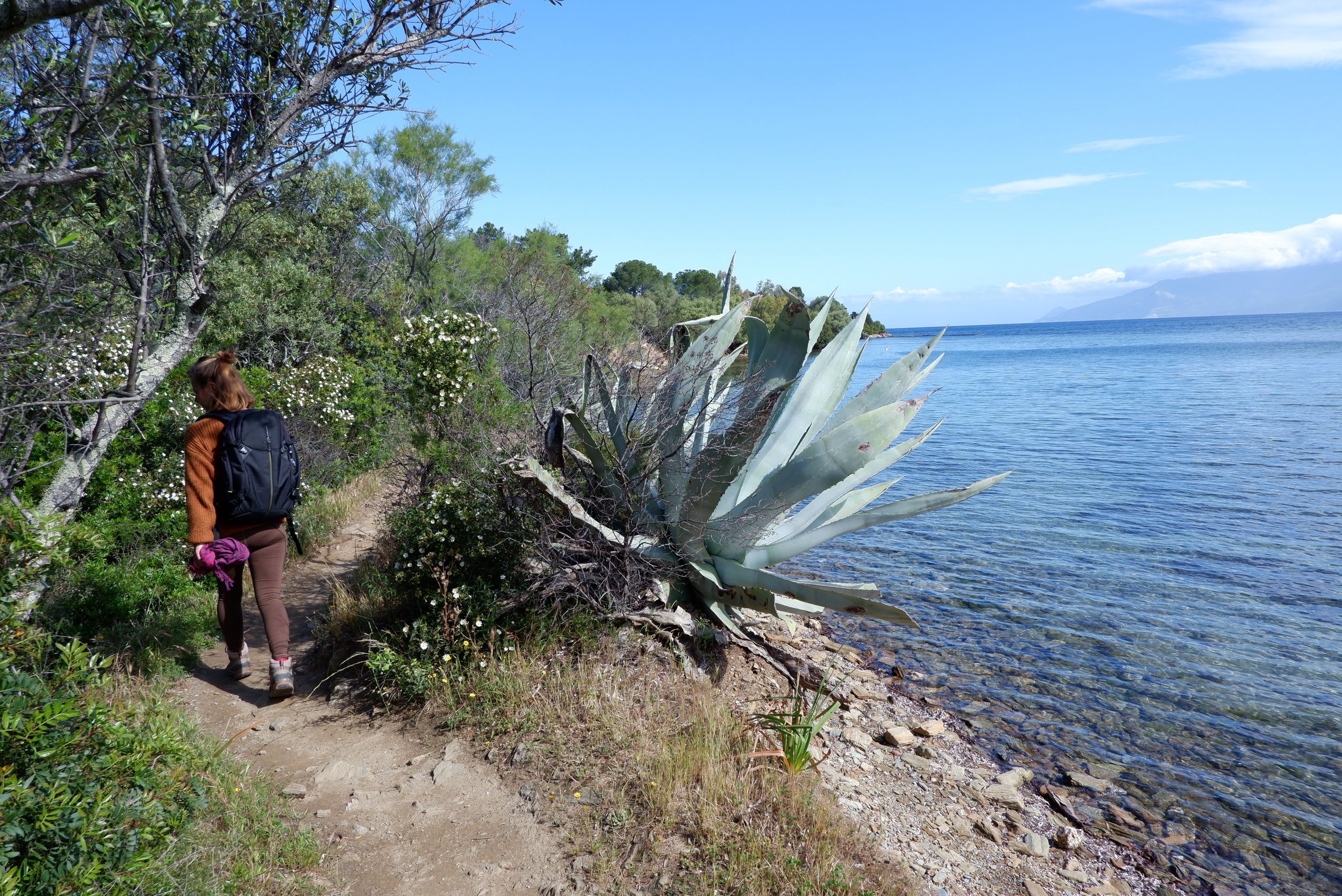Justine sur un sentier de randonnée à côté d'une immense plante.