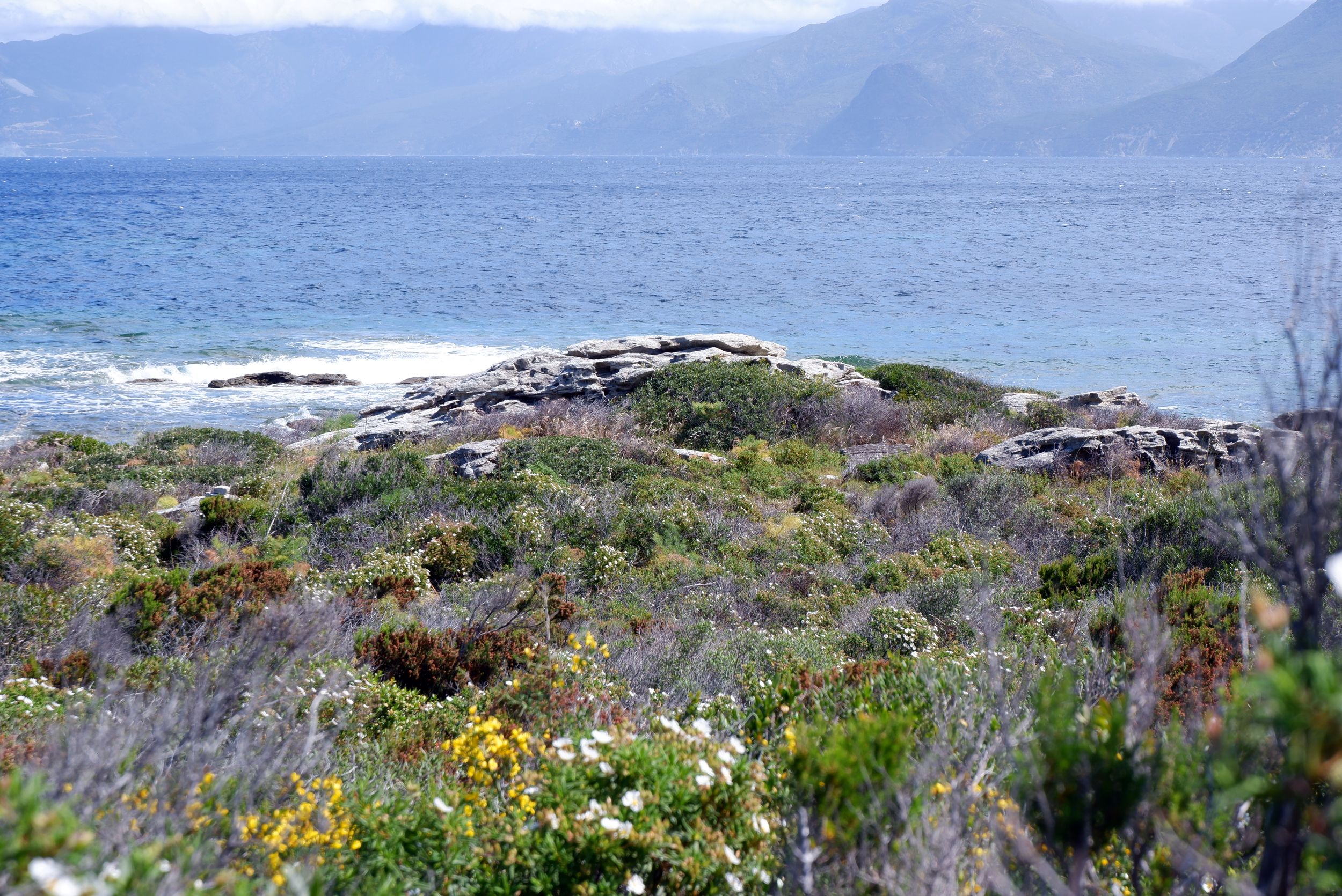Paysage du désert des Agriates