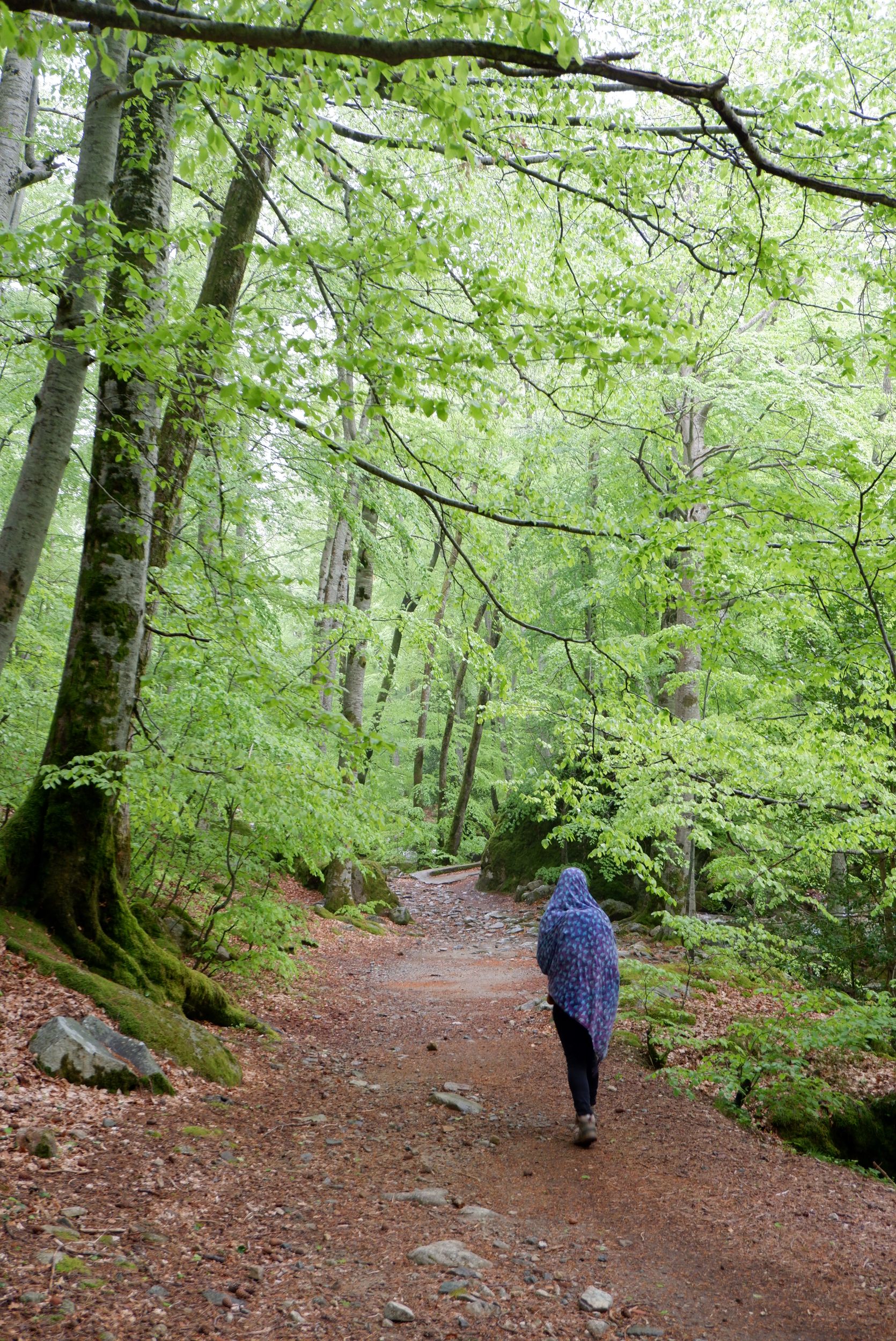 Justine dans la forêt couverte d'un foulard