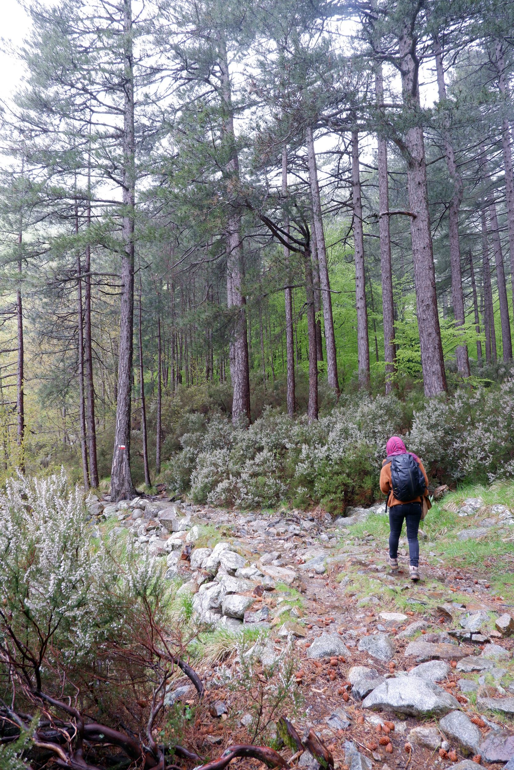 Justine sur le sentier forestier