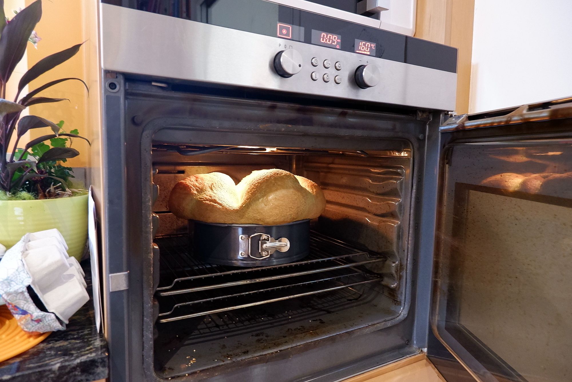 un gâteau gonflé dans le four