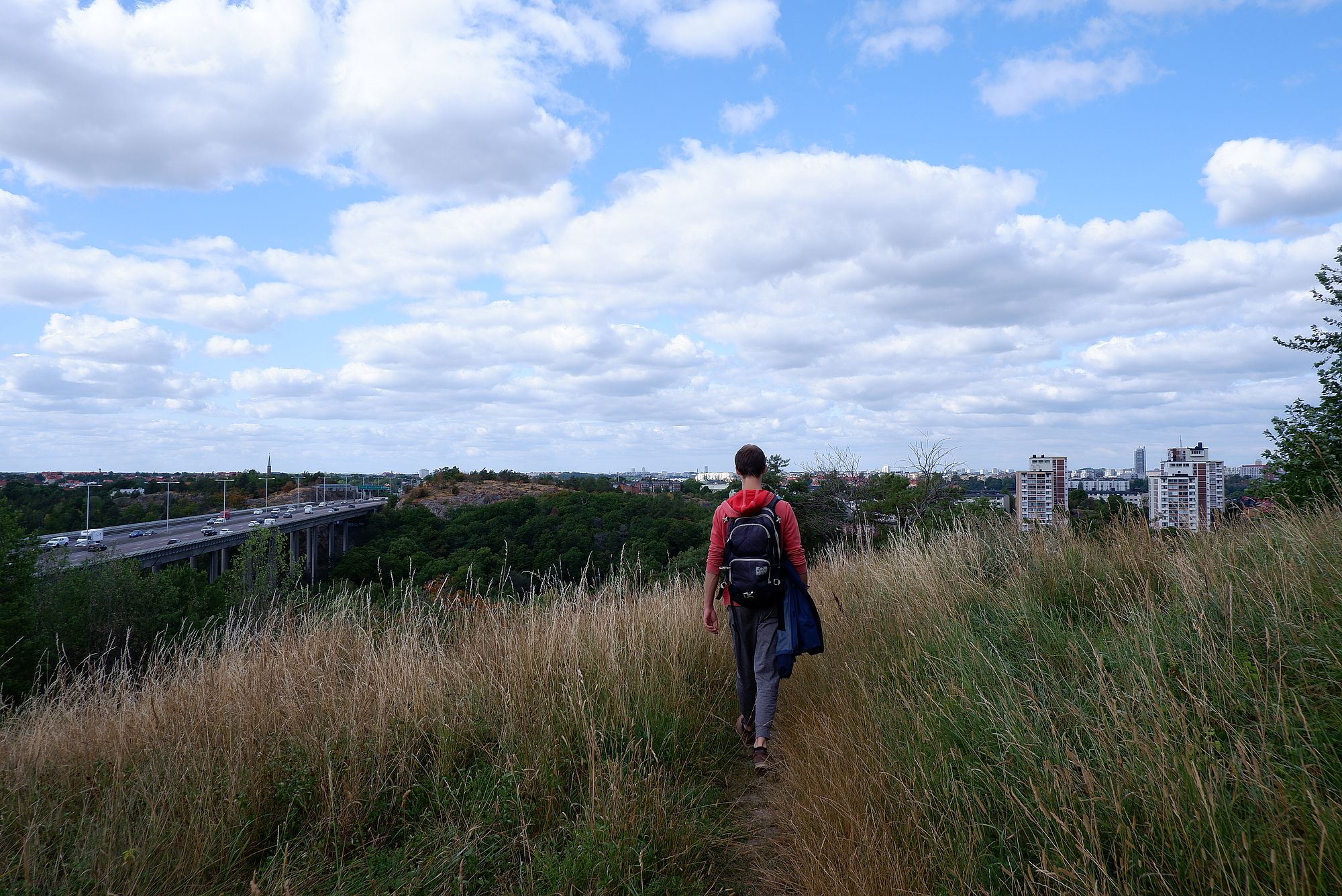 Ryan sur un chemin de hautes herbes bordé d'une autoroute.