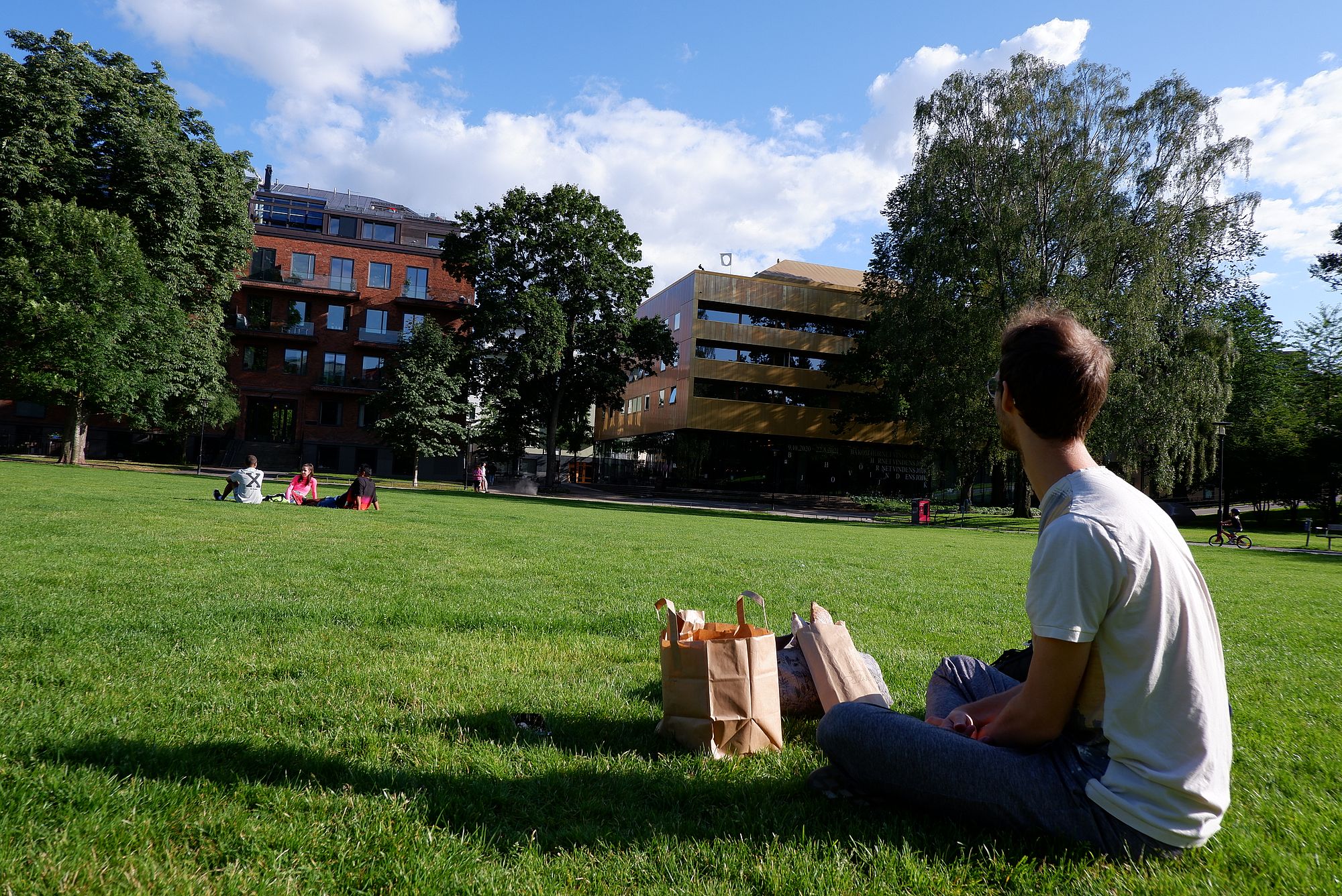 Ryan assis dans l'herbe, avec des sacs de courses remplis de pain à Vasastan.