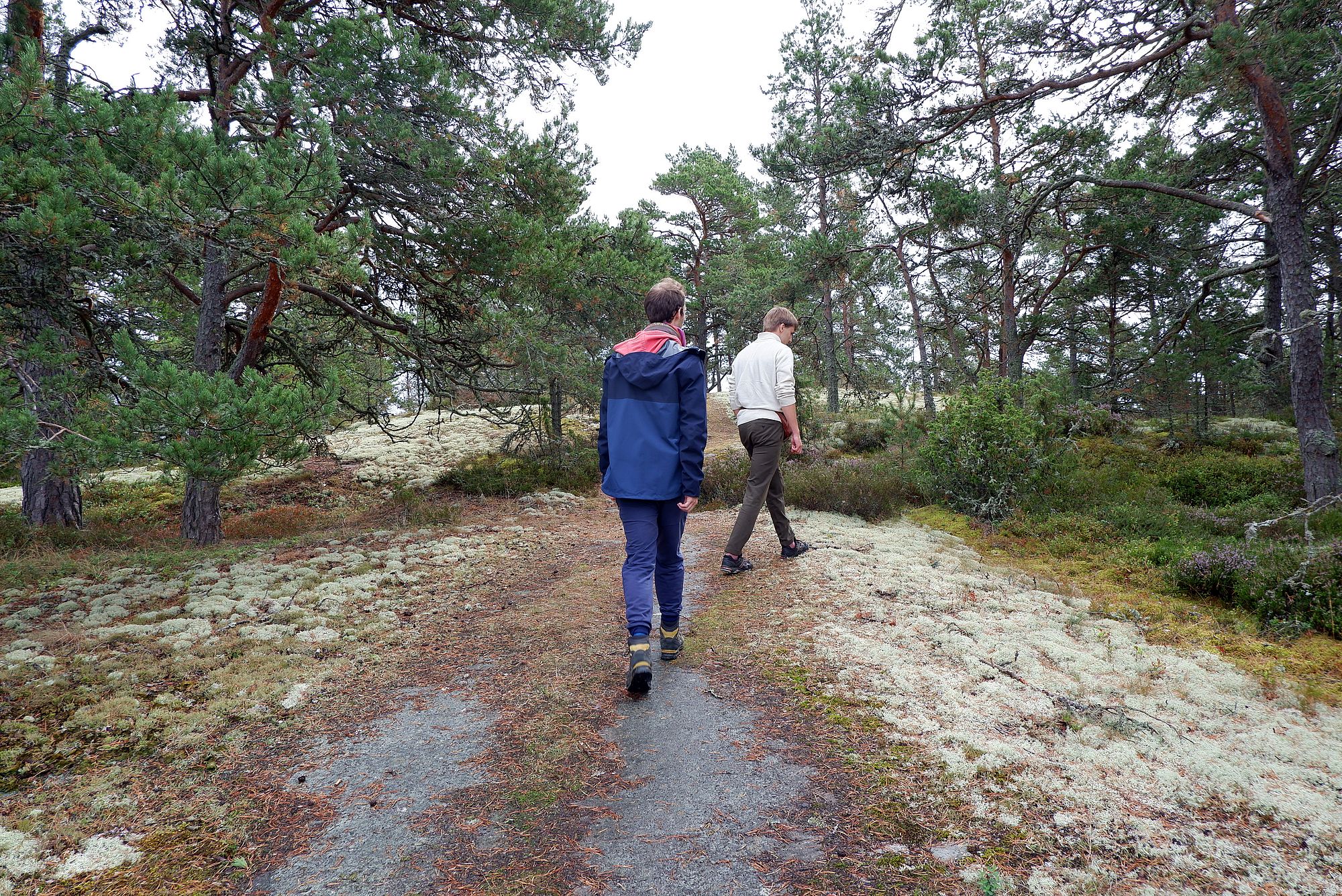 Ryan et Oskar sur un chemin de randonnée bordé de mousse blanche